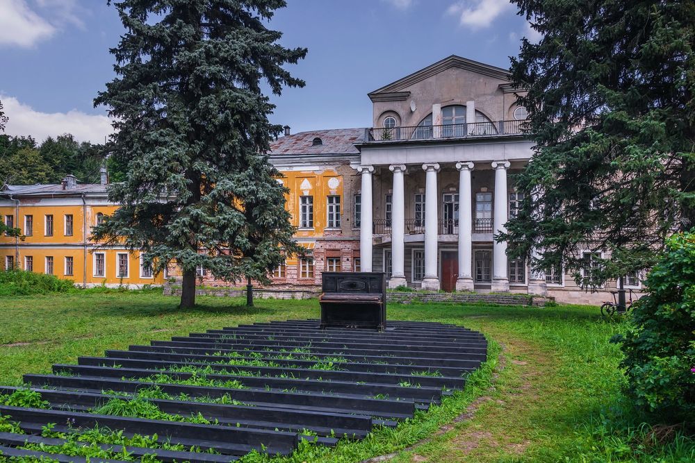 Рояль в кустах