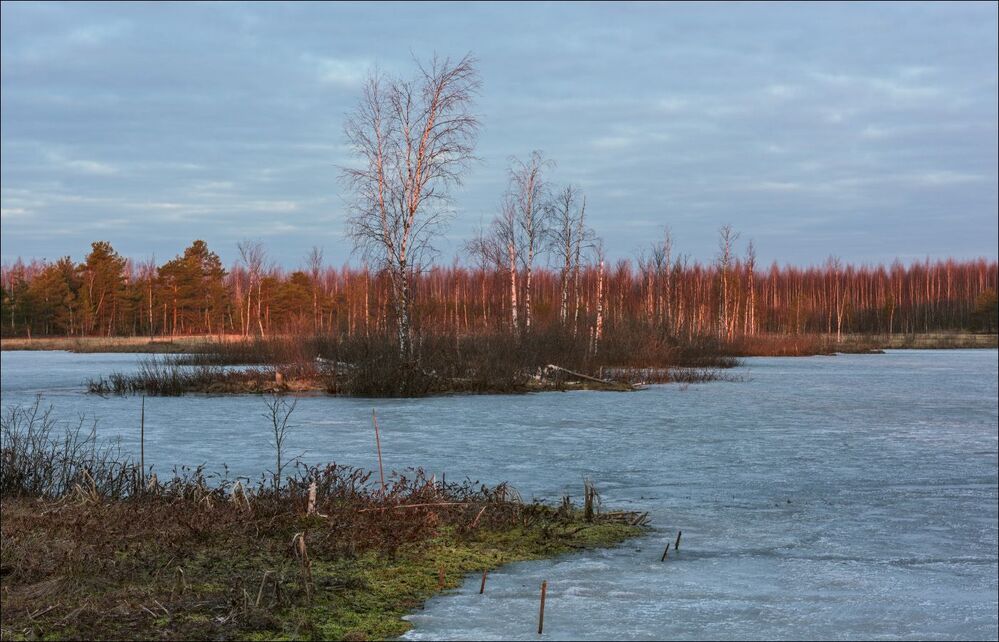 В первых лучах