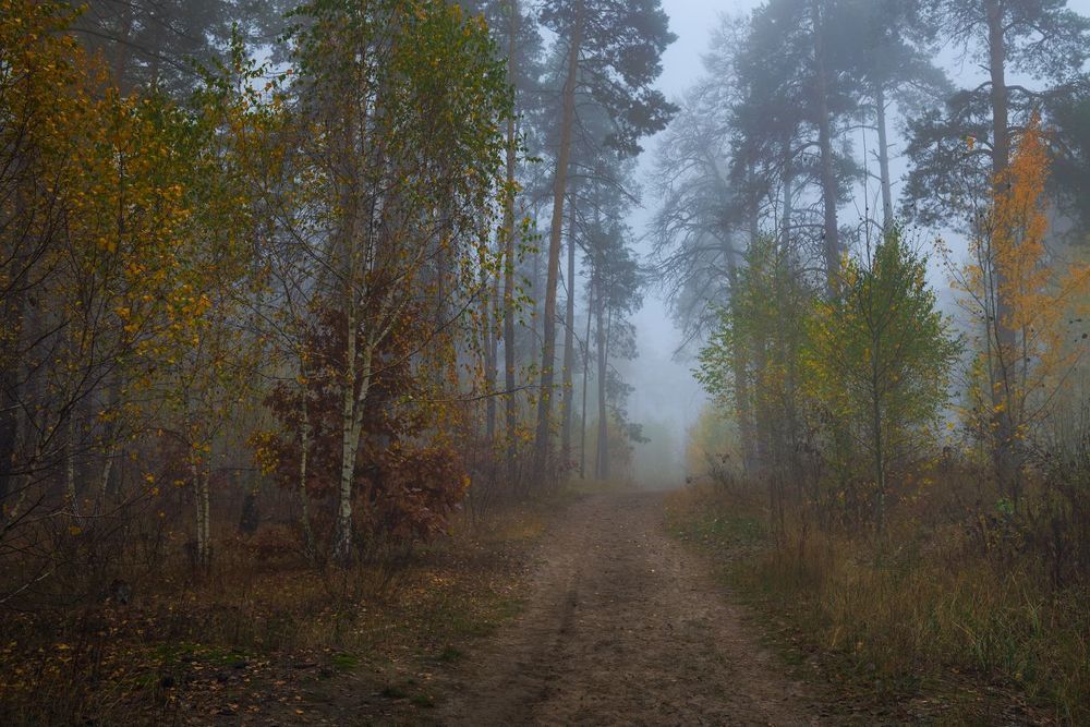 В объятьях голубого тумана