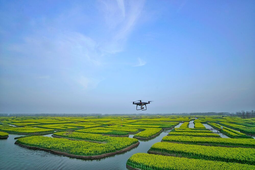 DJI Phantom