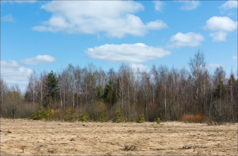 Краски "Серой" весны