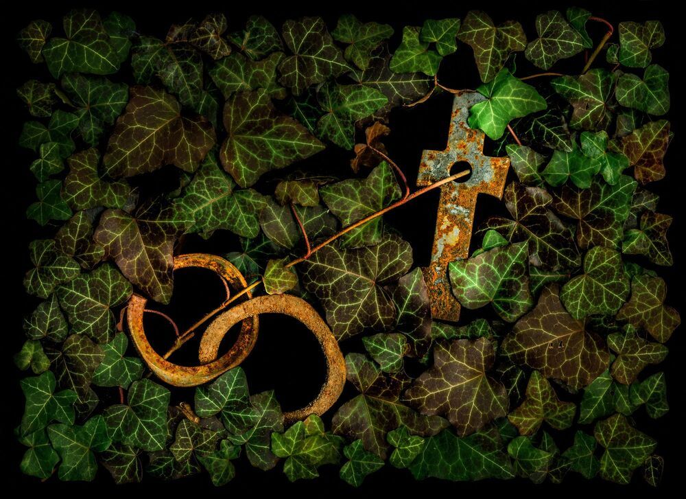 Arrangements of natural materials scanned.