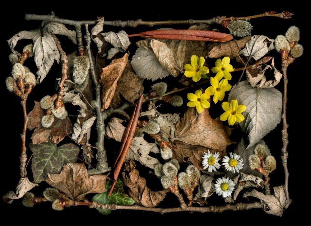 Arrangements of natural materials scanned.