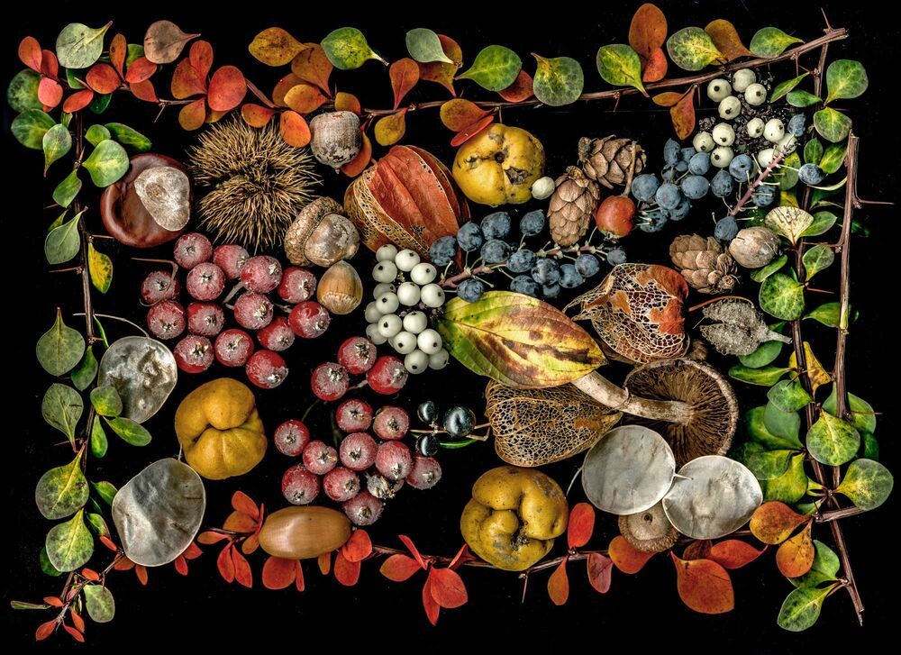 Arrangements of natural materials scanned.
