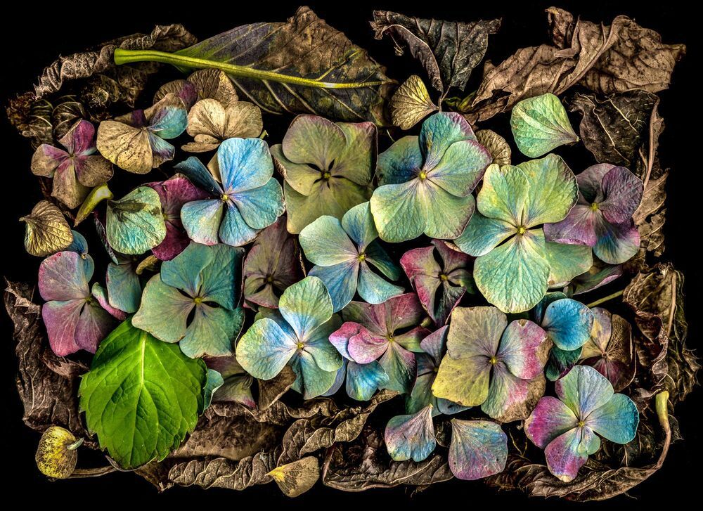 Arrangements of natural materials scanned.