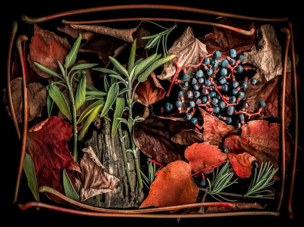 Arrangements of natural materials scanned.