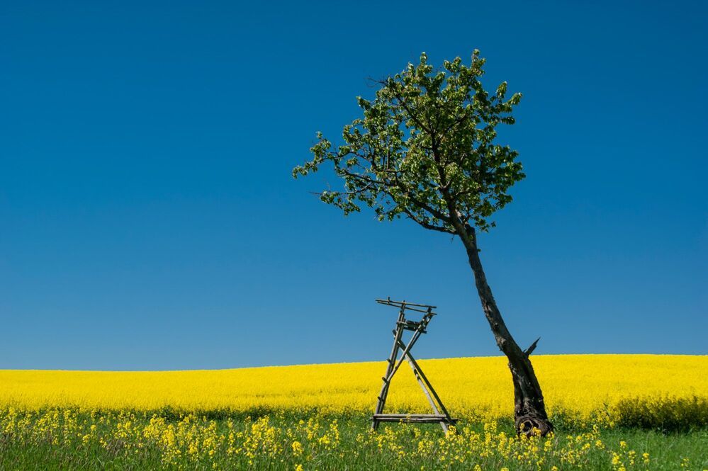 Oberlausitz |