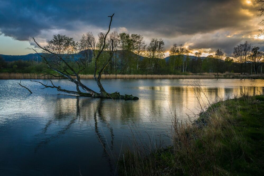 Naturpark Zittauer Gebirge | Природный парк | Nature park