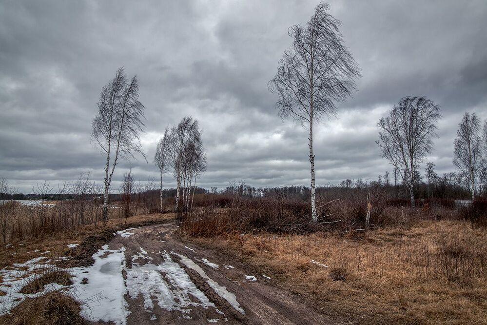 Непонятный сезон
