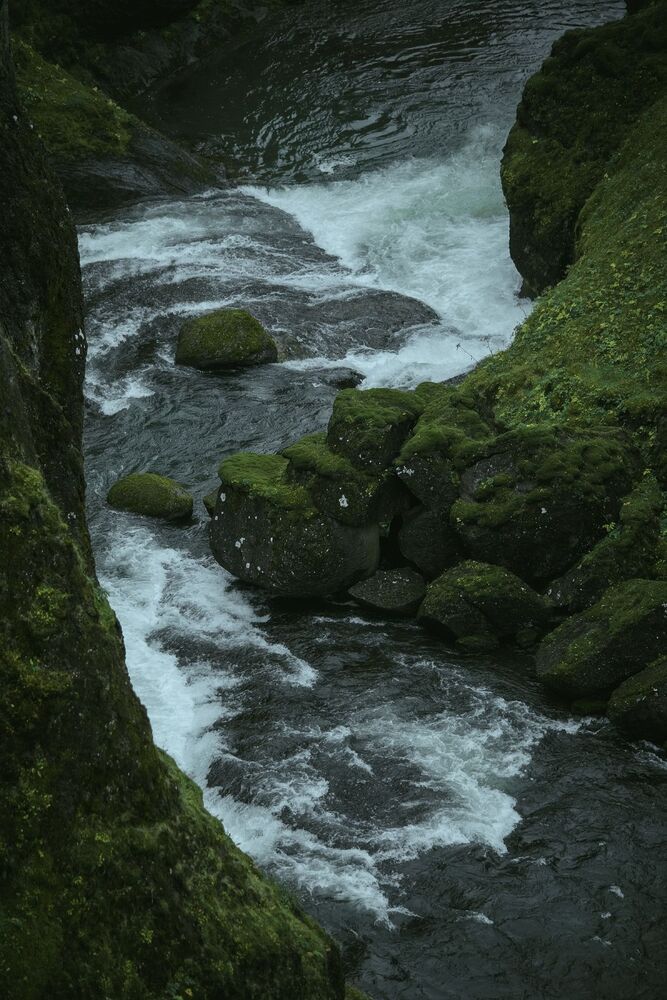 Fja&eth;r&aacute;rglj&uacute;fur