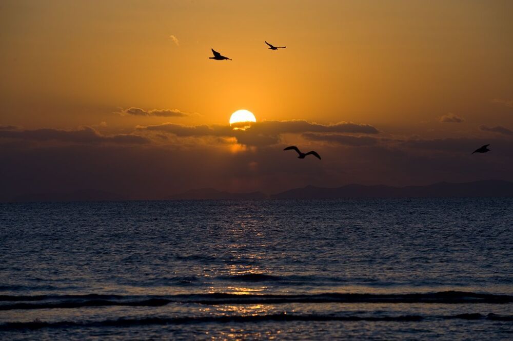 sunset