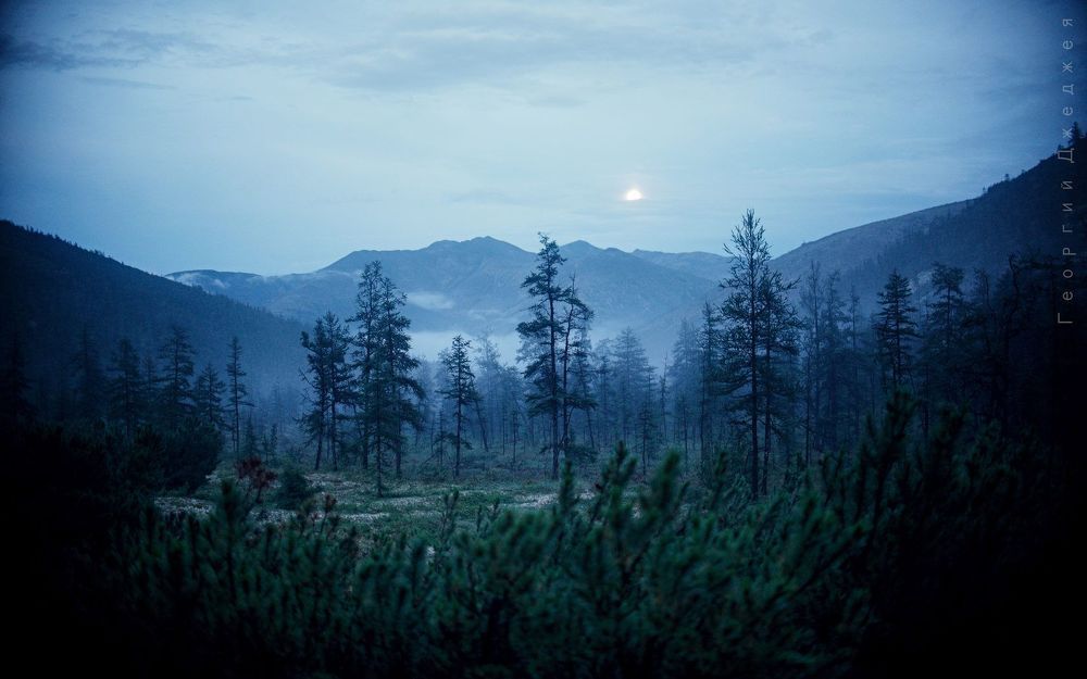 Photo 1687232