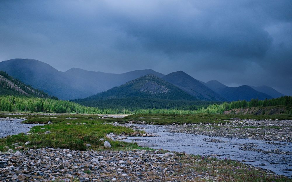 Photo 1687235