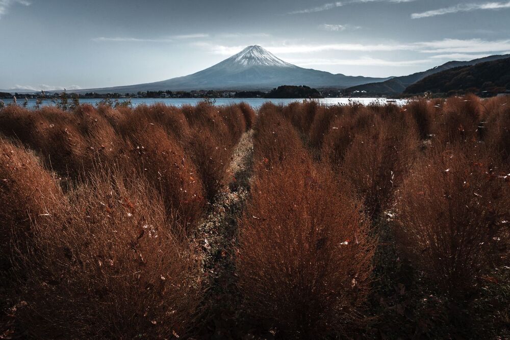 Autumn in Japan