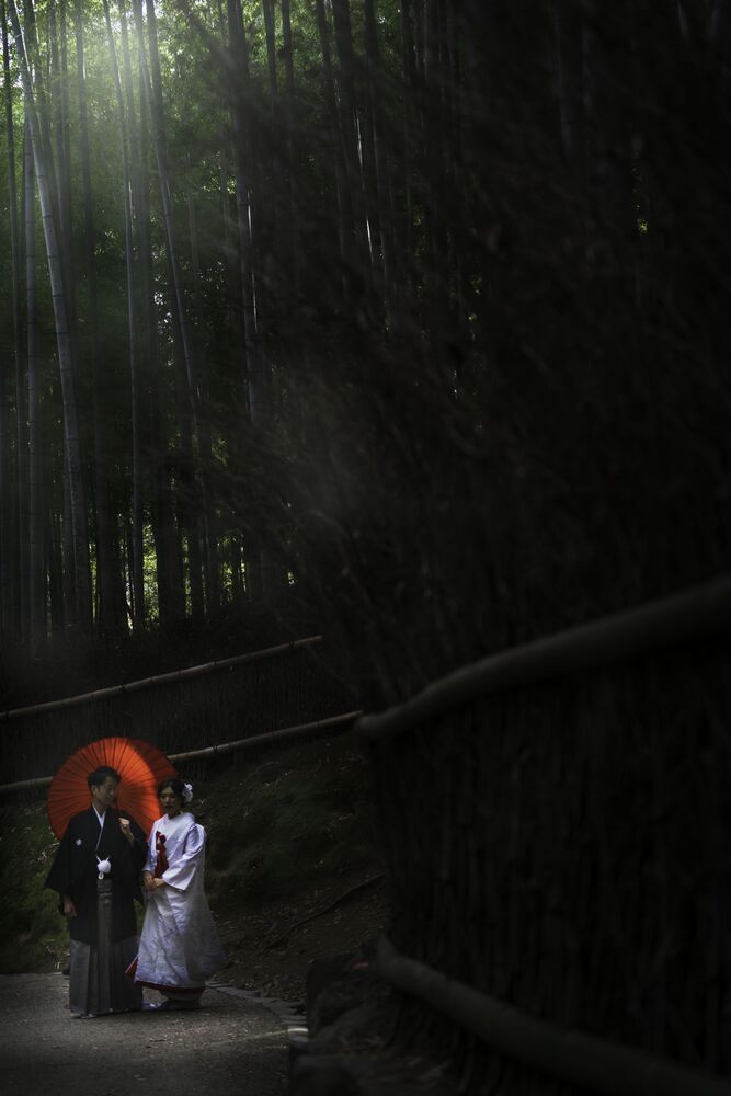 Autumn in Japan
