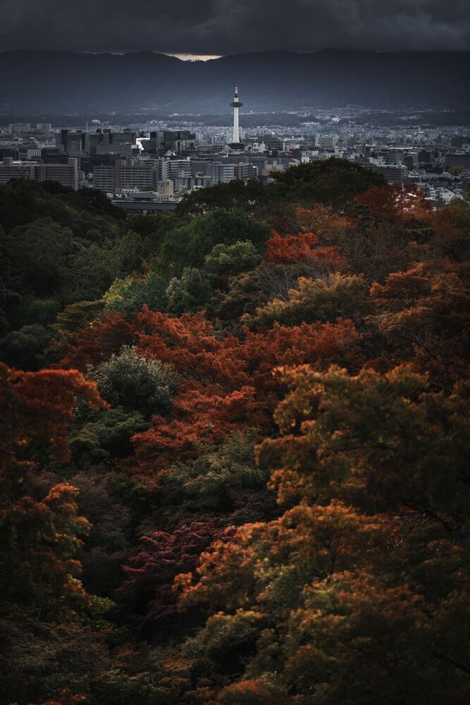 Autumn in Japan