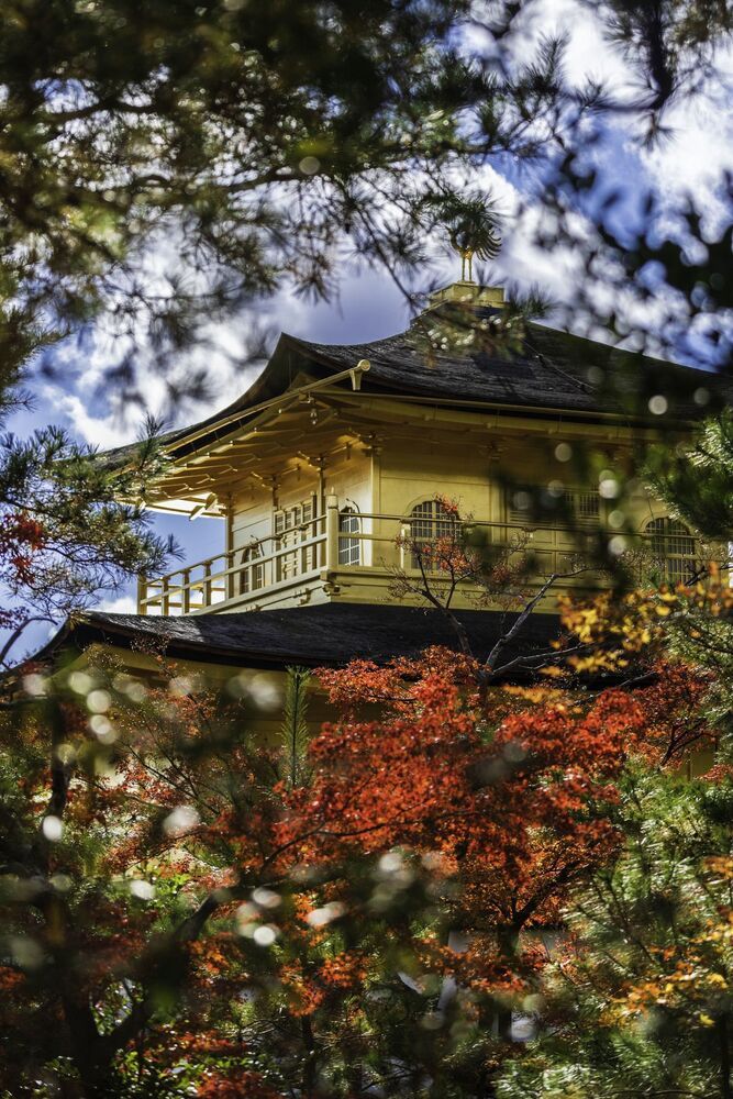 Autumn in Japan