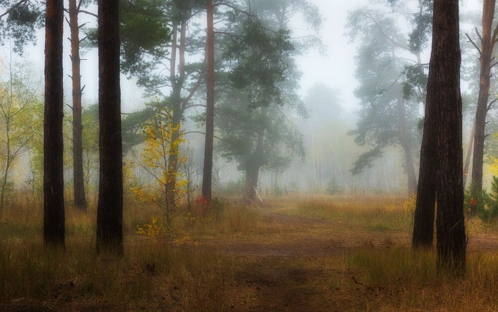 Сглаживая реальность