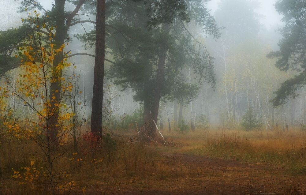 Сглаживая реальность