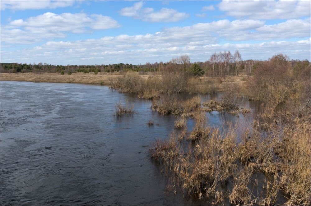 Разлив на Медведице в 2019 году