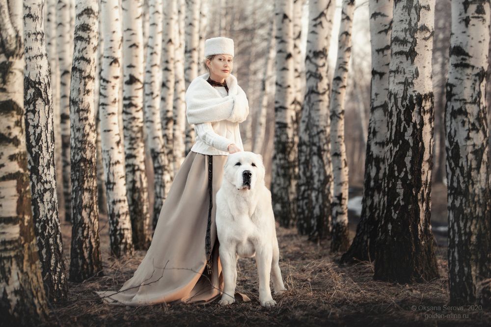 Северные...