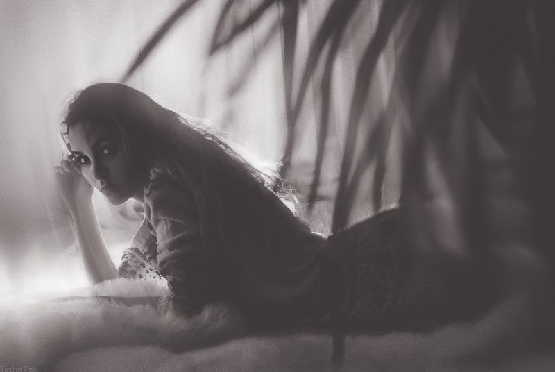 Photo 169034