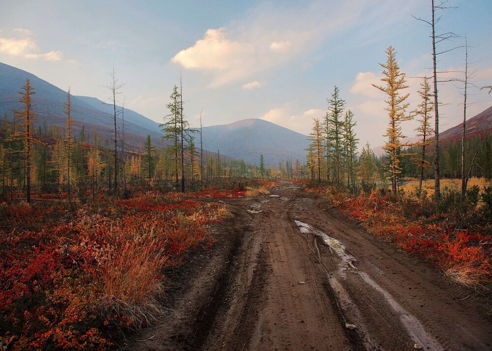 Таймыр осенний