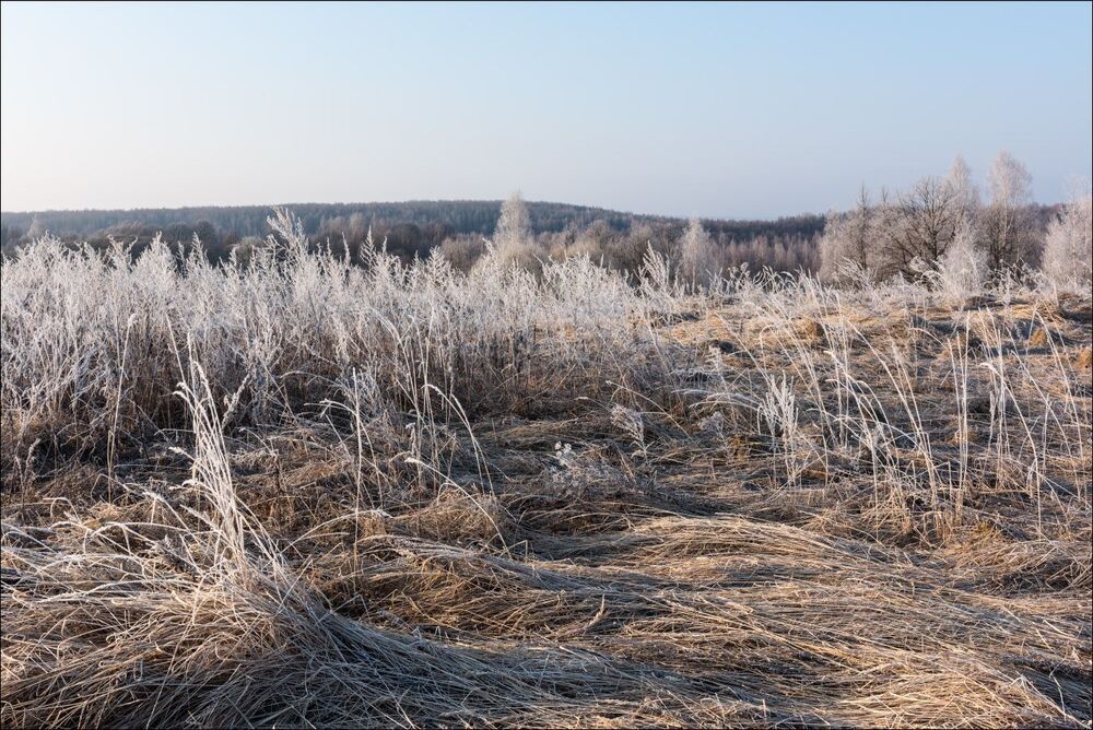 Хрусталь апрельского утра
