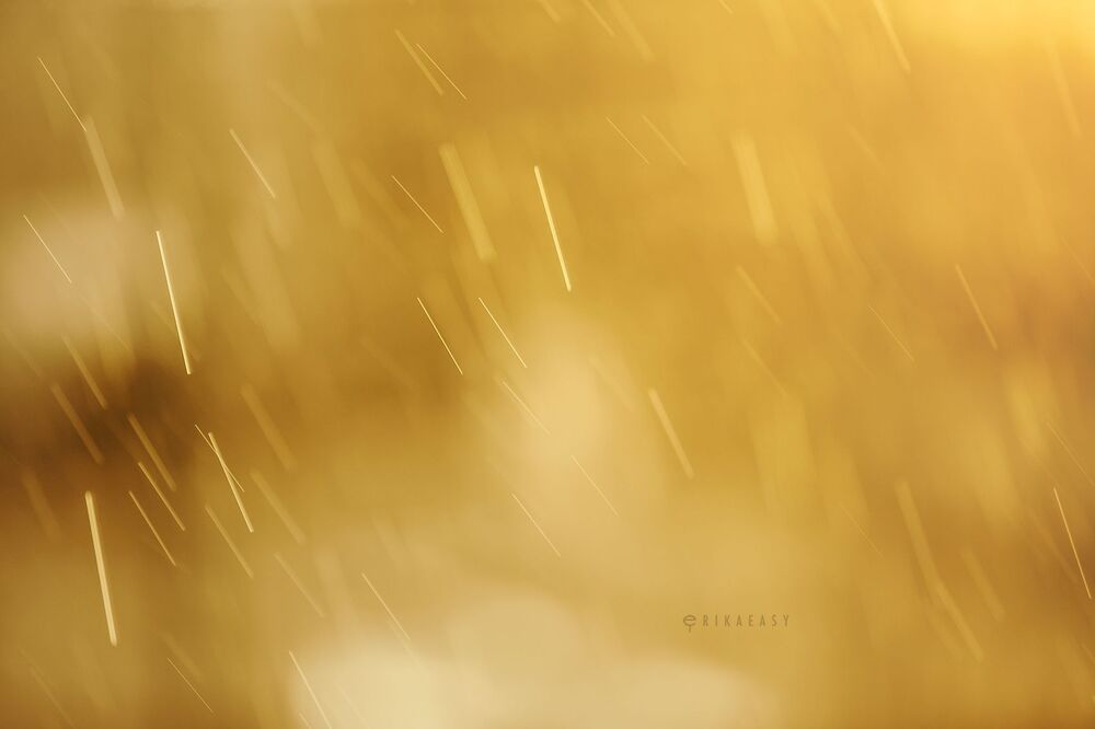 One rainy evening