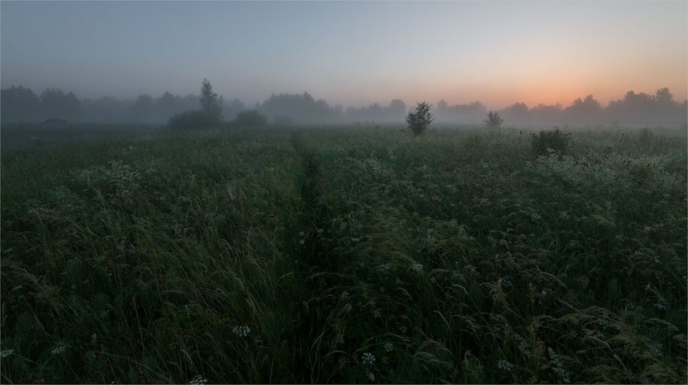 июньский рассвет...