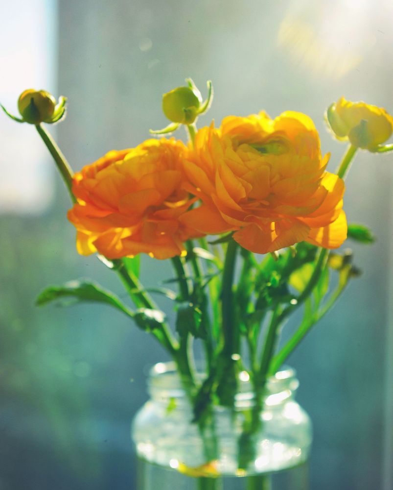 City's flowers