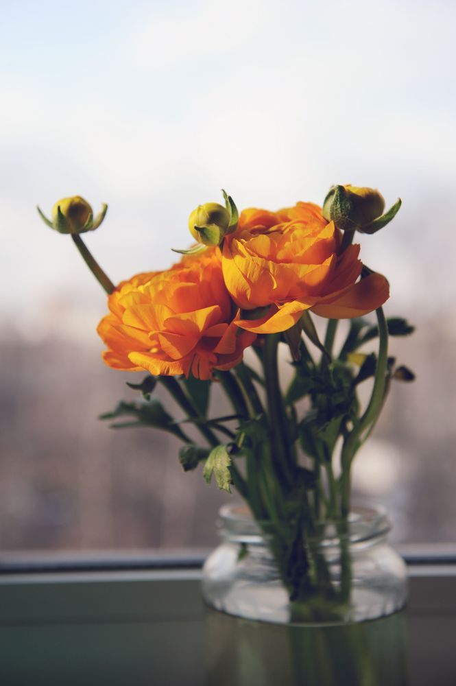 City's flowers