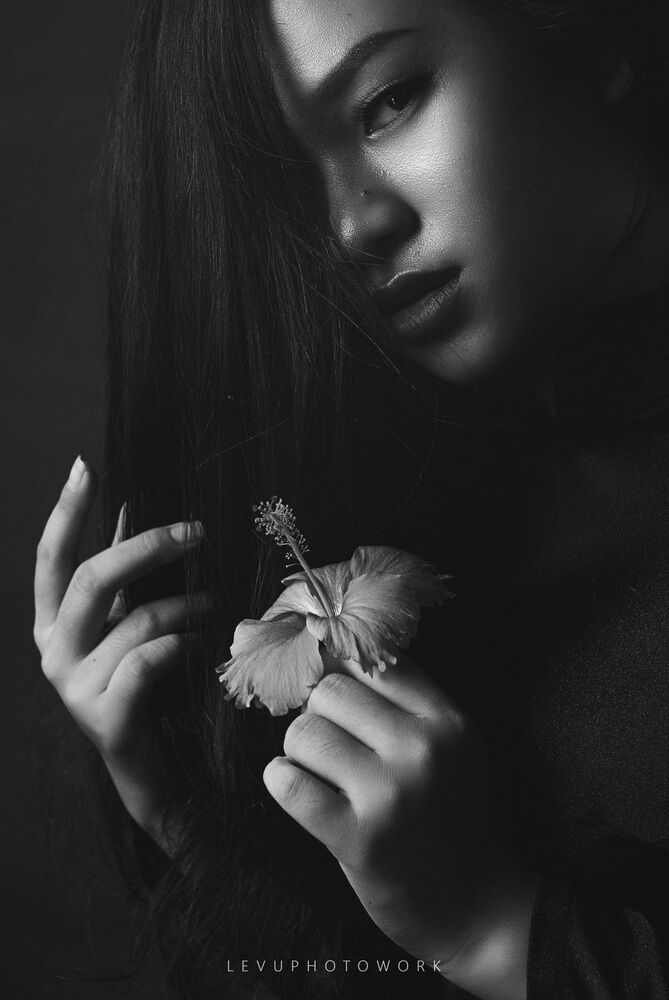 Photo 1692441