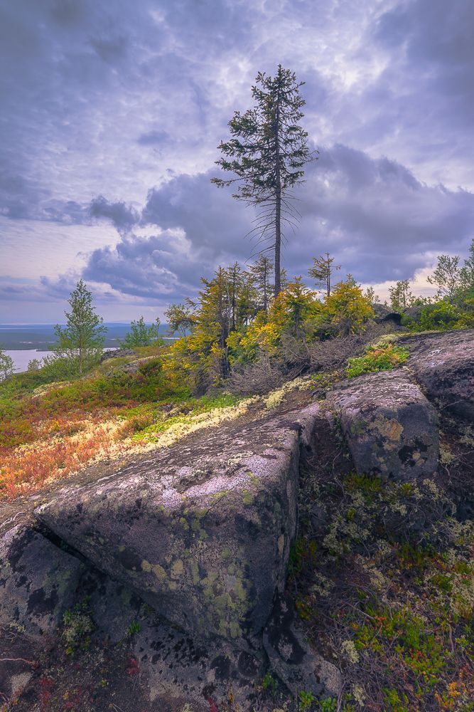 Photo 1692510