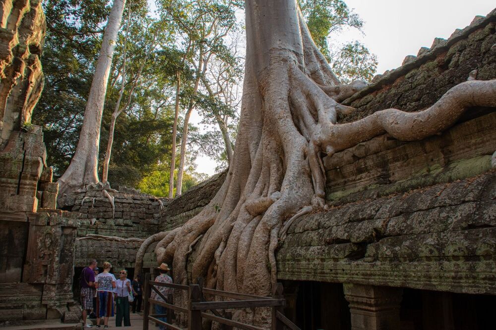 Ta Prohm temple
