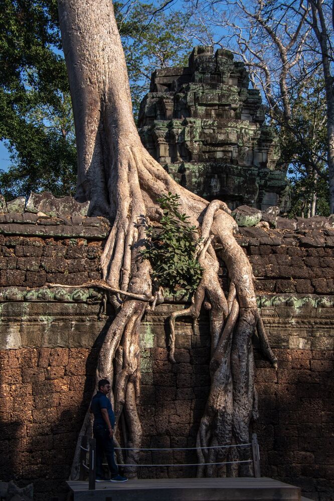 Ta Prohm temple