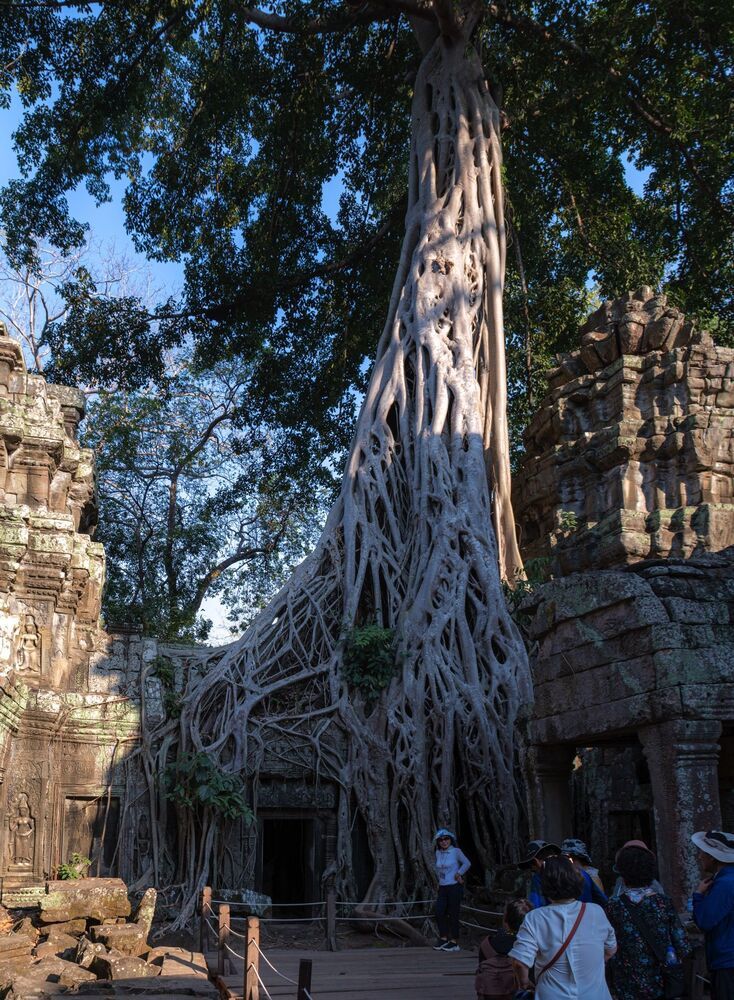 Ta Prohm temple