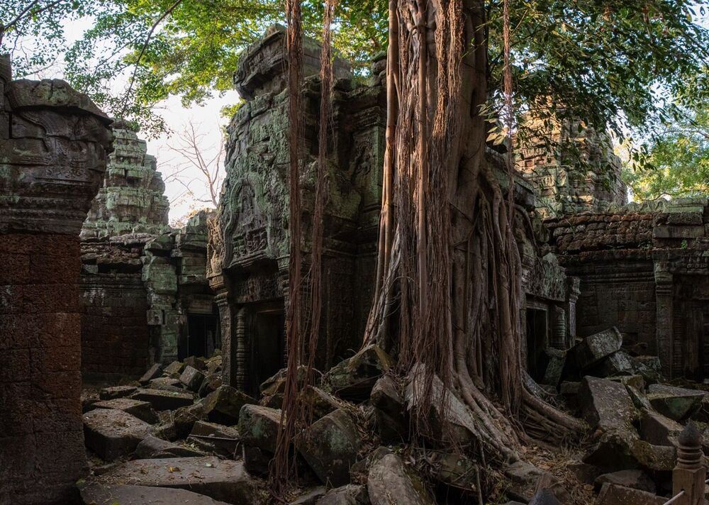 Ta Prohm temple