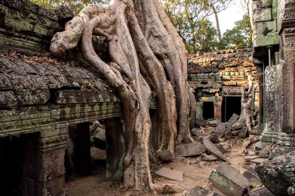 Ta Prohm temple