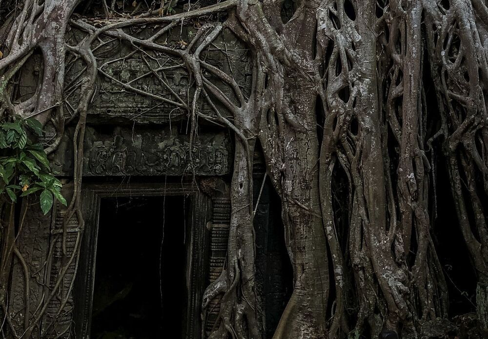 Ta Prohm temple