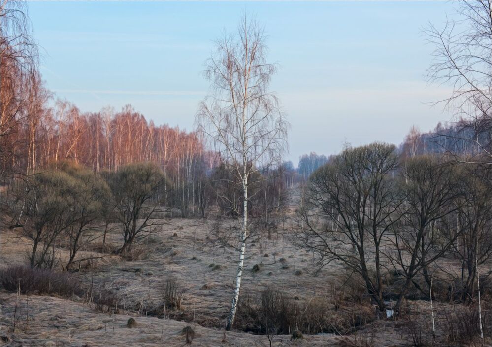 Пастельное утро в долине речушки