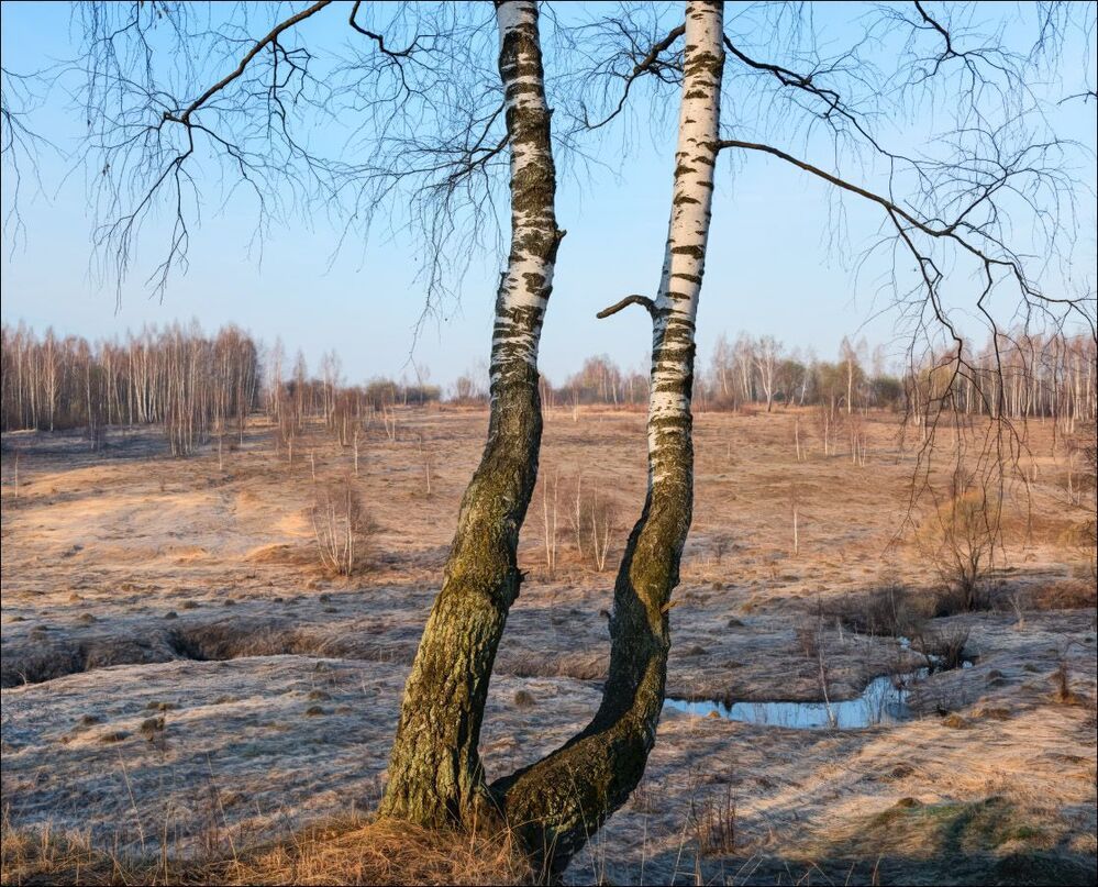 Утром над долиной