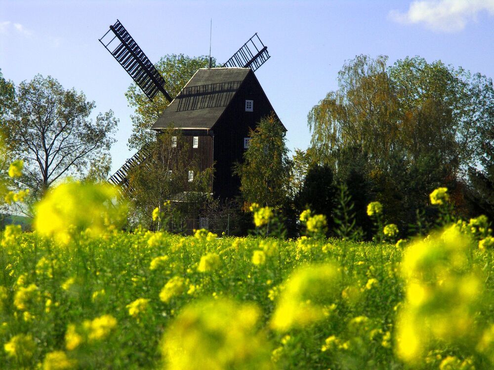Bockwindm&uuml;hle
