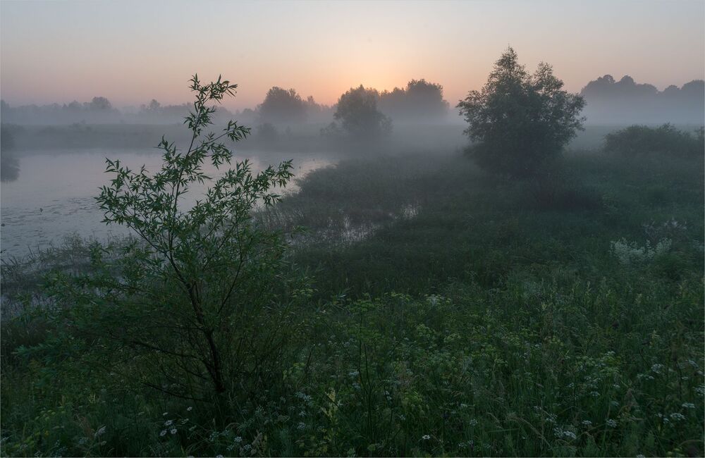июнь на старицах...