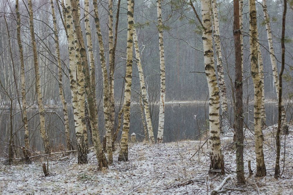 01 Пошел легкий снежок