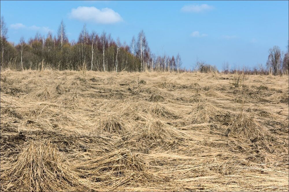 Пастельные краски апреля
