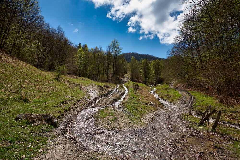 Carpatian spring