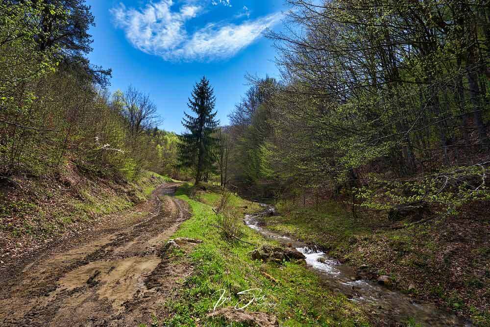 Carpatian spring