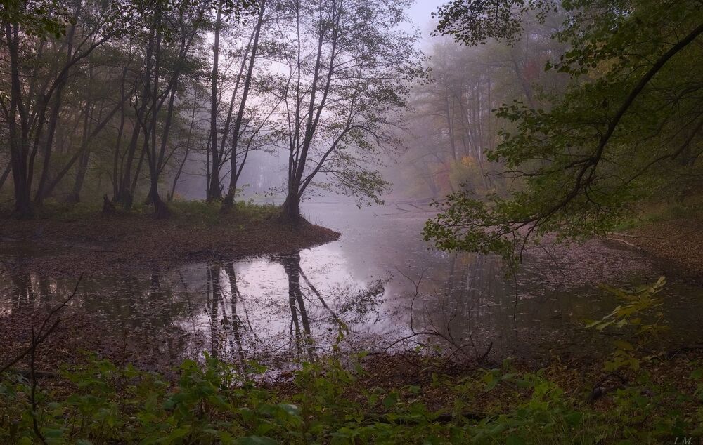 Дух болот ..