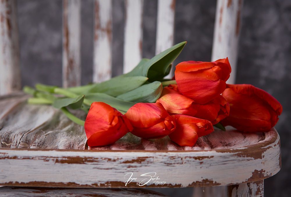 The spring still life